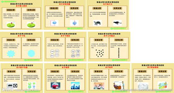 企業管理圖片信息咨詢服務 可視化戰略助力企業高效決策